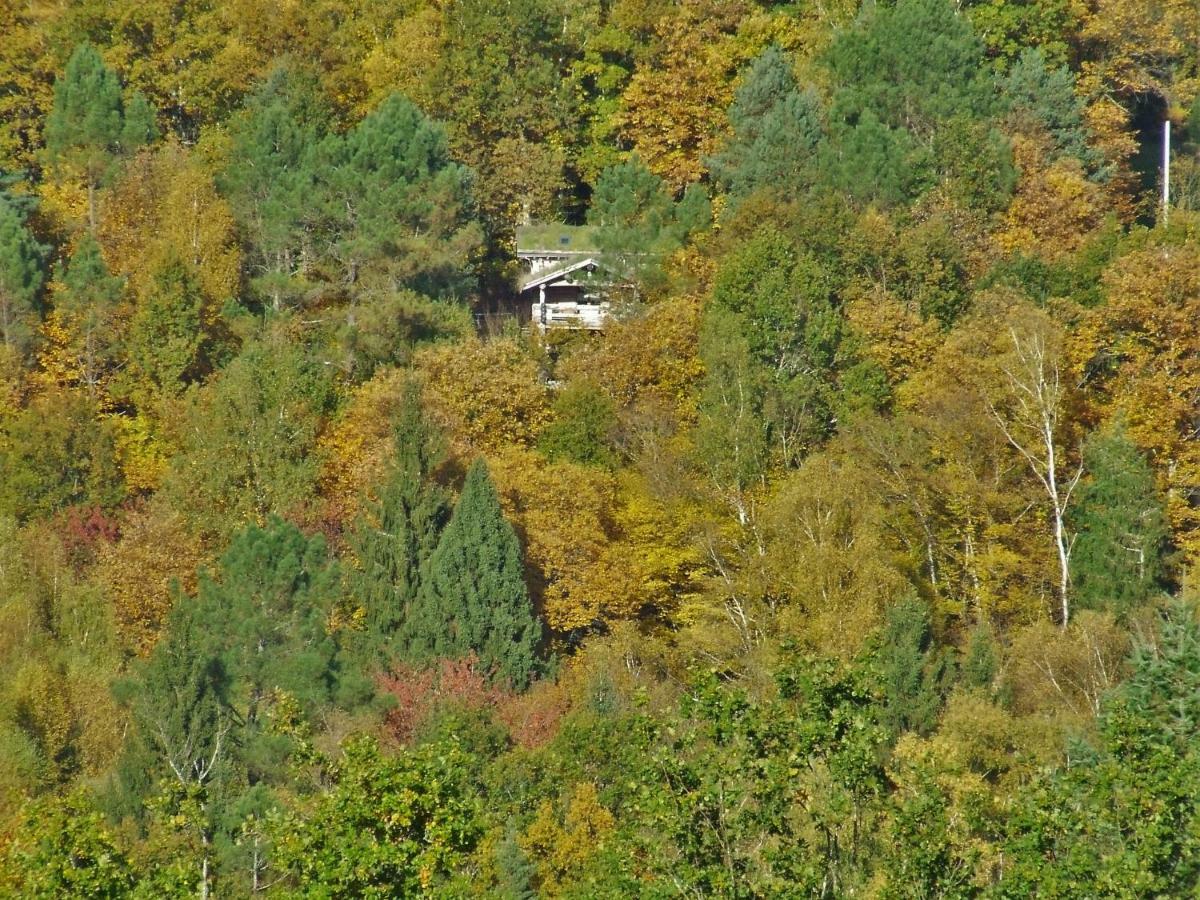 La Cabane De Hans Saint-Martial-de-Gimel Eksteriør bilde